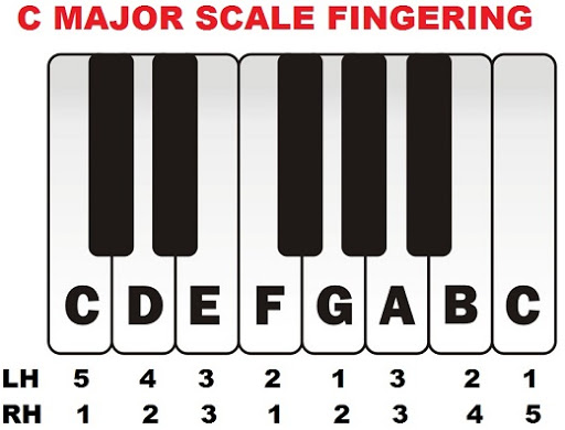 Beginner Piano Exercises